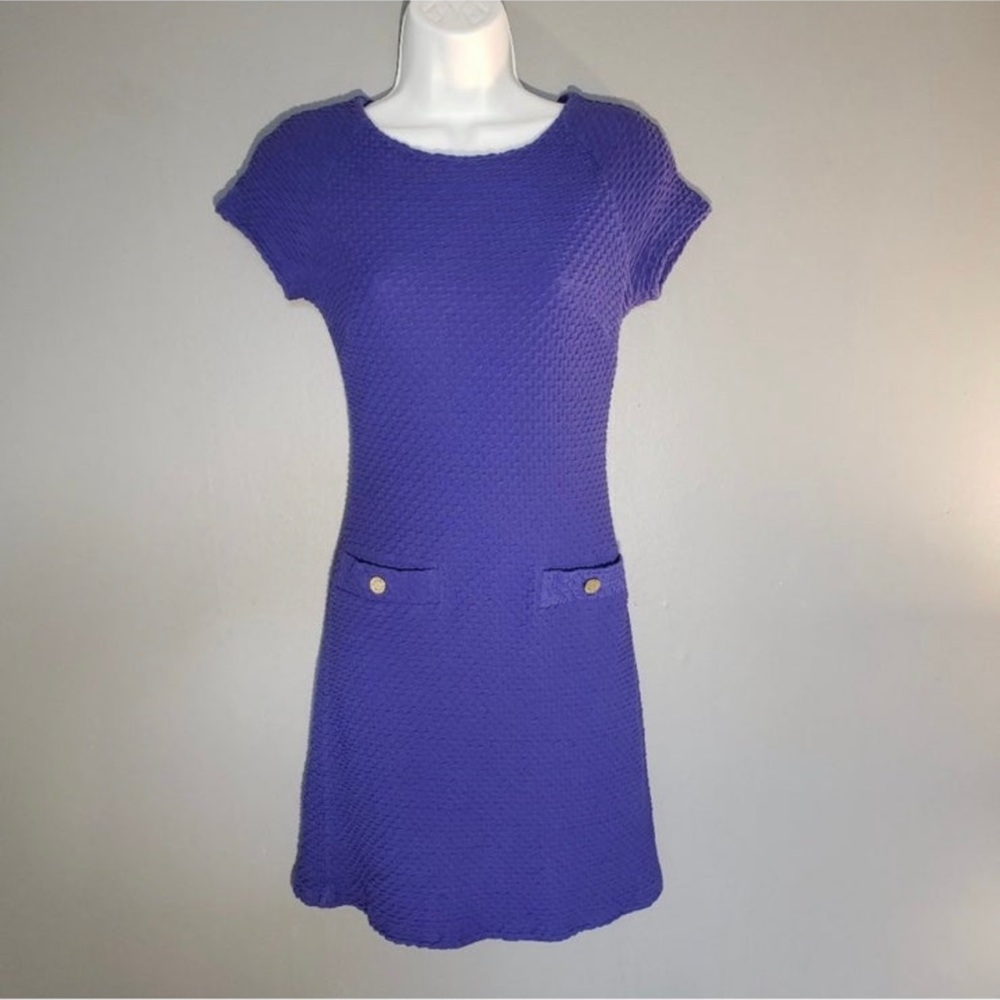 Lilly Pulitzer Blue Dress Sz XS